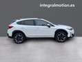 Subaru XV 2.0i Hybrid Executive Plus CVT Blanco - thumbnail 26