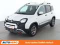 Fiat Panda 1.2 City Cross Weiß - thumbnail 1