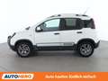 Fiat Panda 1.2 City Cross Weiß - thumbnail 3