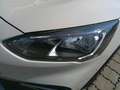Ford Focus 1,5 EcoBlue Active Weiß - thumbnail 8
