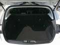 Ford Focus 1,5 EcoBlue Active Weiß - thumbnail 5
