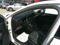 Ford Focus 1,5 EcoBlue Active Weiß - thumbnail 21