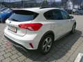 Ford Focus 1,5 EcoBlue Active Weiß - thumbnail 3