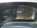 Ford Focus 1,5 EcoBlue Active Weiß - thumbnail 10