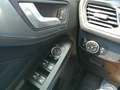 Ford Focus 1,5 EcoBlue Active Weiß - thumbnail 20
