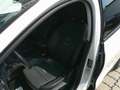 Ford Focus 1,5 EcoBlue Active Weiß - thumbnail 22