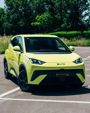 BYD Dolphin SURF ACTIVE 88Ccv Batteria 30kwh