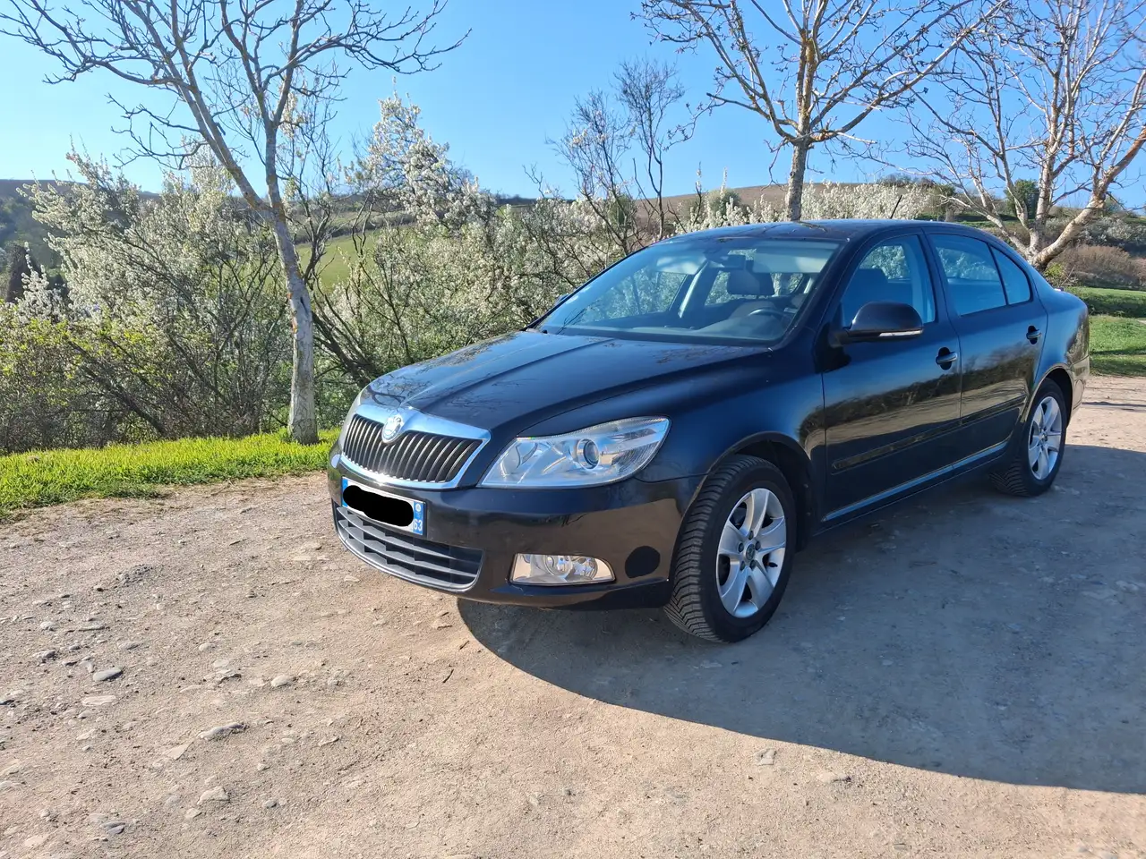 Skoda Octavia OCTAVIA N1 2.0 TDI 140 CR FAP AMBITION