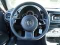 Volkswagen Beetle Cabriolet 1.2 TSI KLIMA PDC Grijs - thumbnail 7