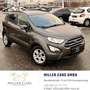 Ford EcoSport 1,0 EcoBoost Trend*Erstbesitz*Servicegepflegt Grau - thumbnail 4