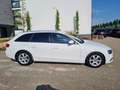 Audi A4 Ambition Weiß - thumbnail 8