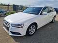 Audi A4 Ambition Weiß - thumbnail 3