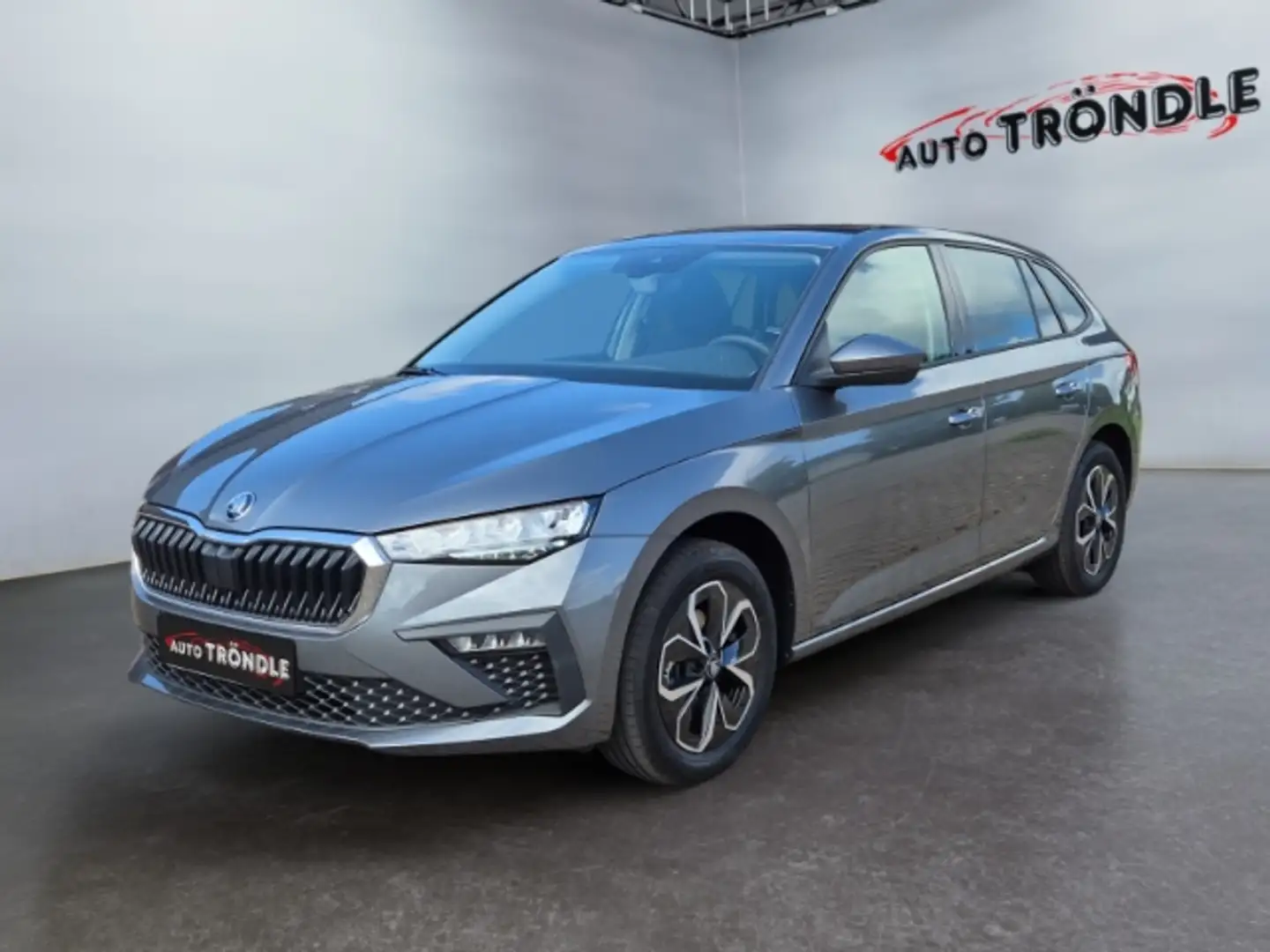 Skoda Scala 1.0 TSI Selection 130 +LED +Kamera +SHZ Grau - 1