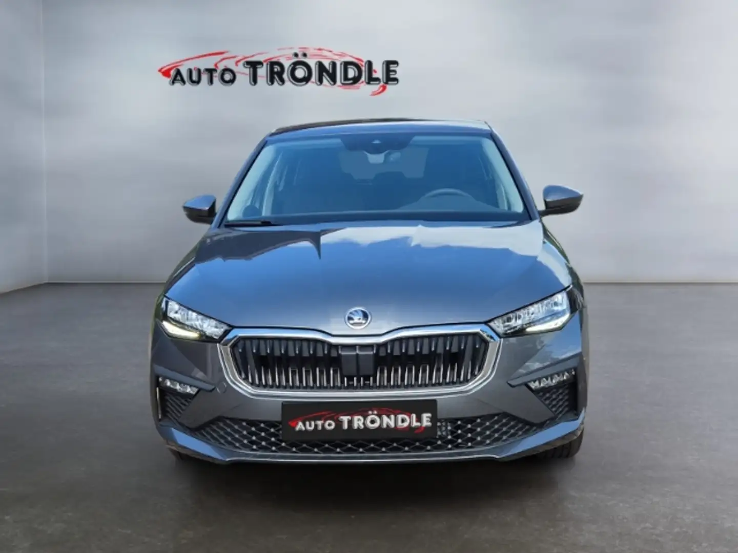 Skoda Scala 1.0 TSI Selection 130 +LED +Kamera +SHZ Grau - 2