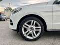 Mercedes-Benz GLE 250 GLE 250 d Exclusive 4matic auto Bianco - thumbnail 5