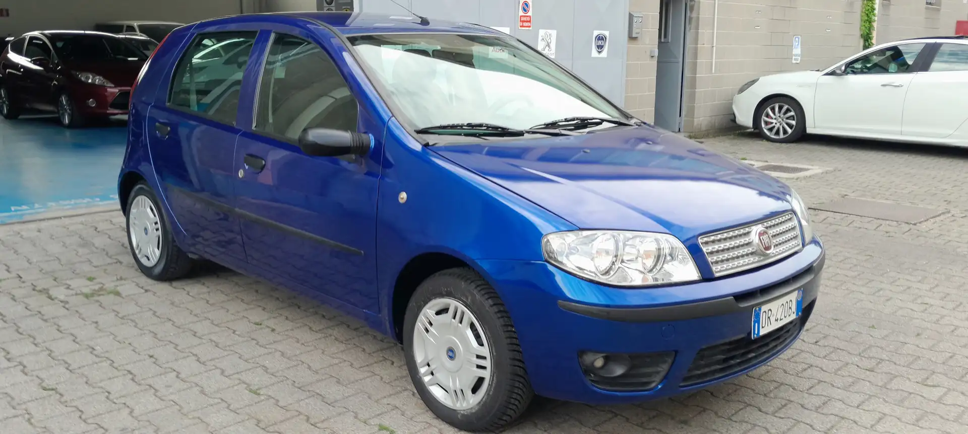 Fiat Punto 1.2 5p Classic Neopatentati OK Blu/Azzurro - 1