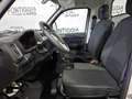 Piaggio Porter PORTER NP6 SR CASSONE FISSO BENZ/LPG PREZZO REALE! Weiß - thumbnail 10
