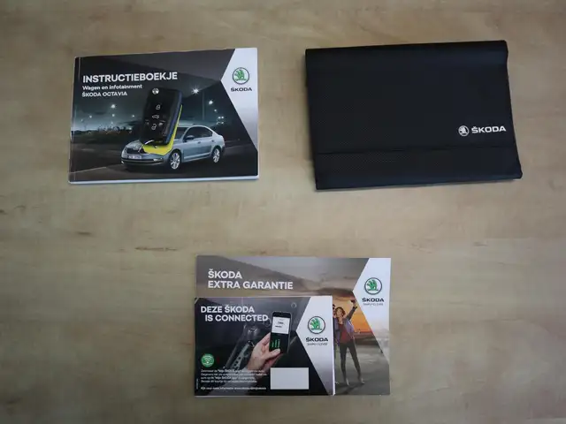 Skoda Octavia view 30