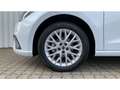 SEAT Ibiza Xcellence 1.0 TSI LED+NAVI+KAMERA+DAB+SHZ Bianco - thumbnail 13