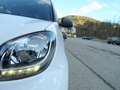smart city-coupé/city-cabrio smart fortwo Weiß - thumbnail 18