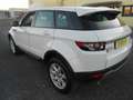 Land Rover Range Rover Evoque PURE TECH PACK Bianco - thumbnail 6