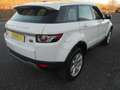 Land Rover Range Rover Evoque PURE TECH PACK Bianco - thumbnail 4