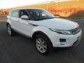 Land Rover Range Rover Evoque PURE TECH PACK Bianco - thumbnail 3