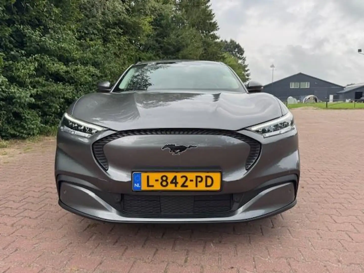 Ford Mustang Mach-E EXTENDED RWD 98KWH/ACARPLAY/LEER/NAV/GARANTIE Gris - 2