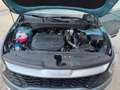 Kia Sportage 1.6 crdi mhev Business mt ALLUVIONATA Grigio - thumbnail 5