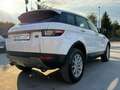 Land Rover Range Rover Evoque Range Rover Evoque 2.0 TD4 150 CV 5p. Pure Bianco - thumbnail 6