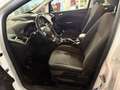 Ford C-Max 1.0 EcoBoost 100CV Start&Stop Plus OK NEOPATENTATO Bianco - thumbnail 7