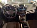 Ford C-Max 1.0 EcoBoost 100CV Start&Stop Plus OK NEOPATENTATO Bianco - thumbnail 5