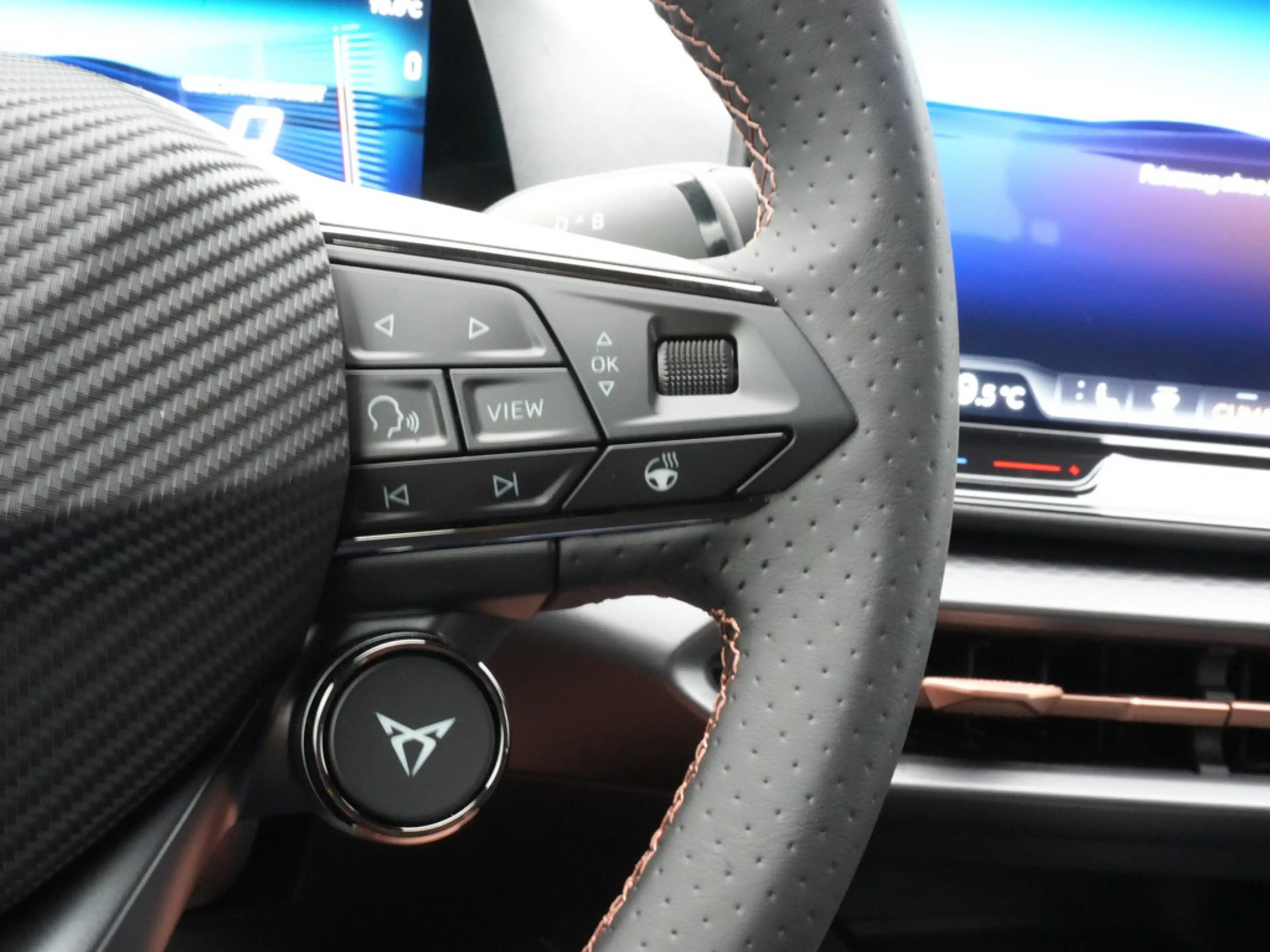 CUPRA Raval Launch Edition Dynamic STANDHZ LED KAM — photo 14