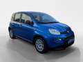 Fiat Panda 4x2 FireFly Hybrid 70 Blau - thumbnail 7