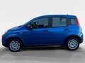 Fiat Panda 4x2 FireFly Hybrid 70 Blau - thumbnail 2