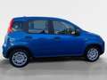 Fiat Panda 4x2 FireFly Hybrid 70 Blau - thumbnail 6