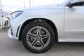 Mercedes-Benz GLE 400 GLE 400 d 4Matic (167.123) AMG Sportpaket Silber - thumbnail 13