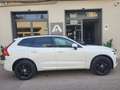 Volvo XC60 XC60 2.0 B4 D Hybrid197 Cv Momentum Awd ... Blanco - thumbnail 2