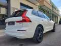 Volvo XC60 XC60 2.0 B4 D Hybrid197 Cv Momentum Awd ... Blanco - thumbnail 9