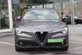 Alfa Romeo Stelvio 2.2JTD 150CV "Super Edition" CUIR CLIM GPS XENON Grey - thumbnail 5