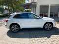 Audi Q5 Q5 Diesel 40 TDI quattro sport Weiß - thumbnail 4
