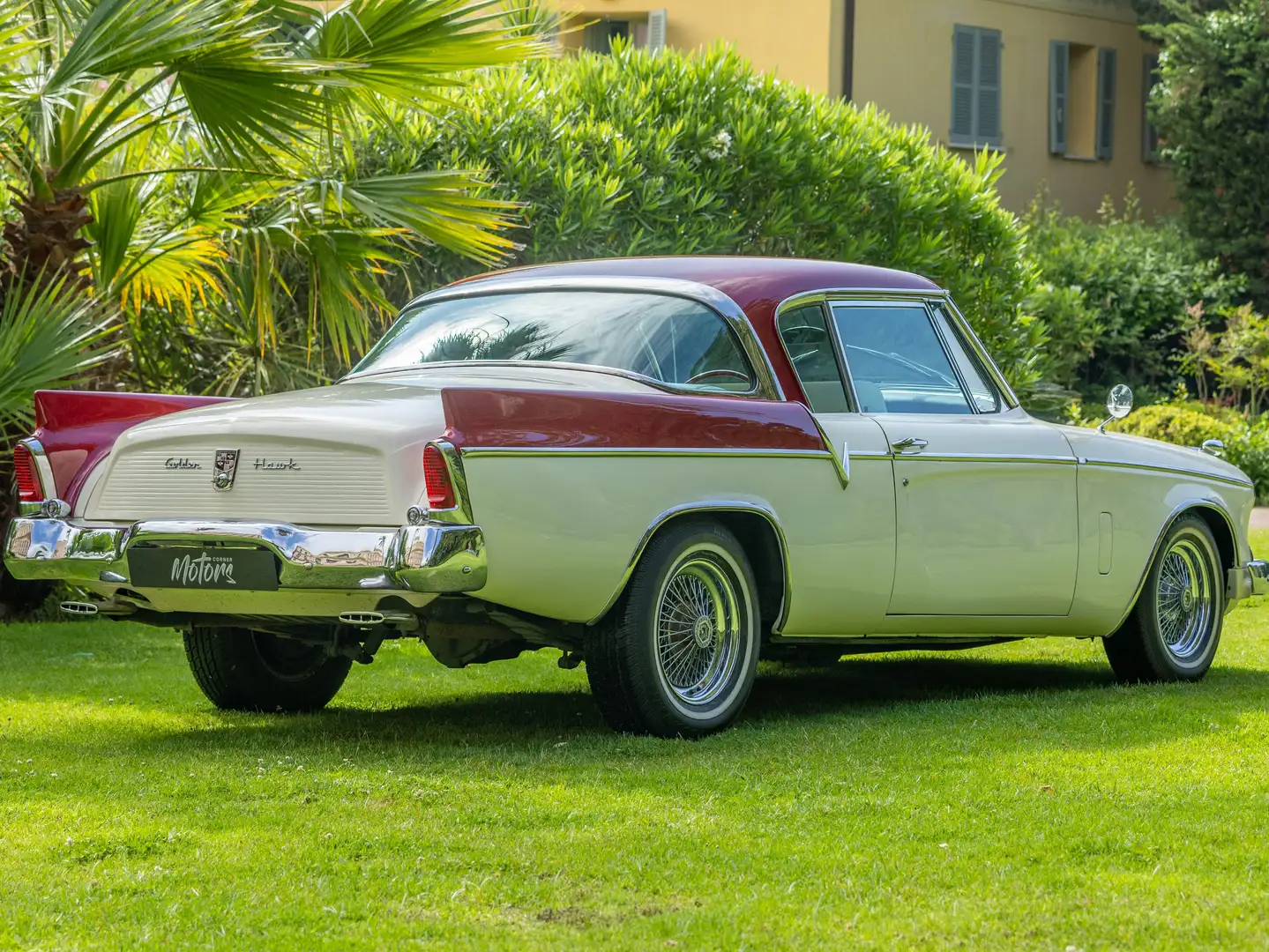 Studebaker Blanc - 2