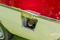Studebaker Blanc - thumbnail 11