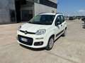 Fiat Panda Panda 0.9 TwinAir Turbo Natural Power Easy Blanco - thumbnail 2