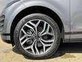 Land Rover Range Rover Evoque Range Rover Evoque D150 R-Dyn. S 20"Pano WinterP Grigio - thumbnail 9