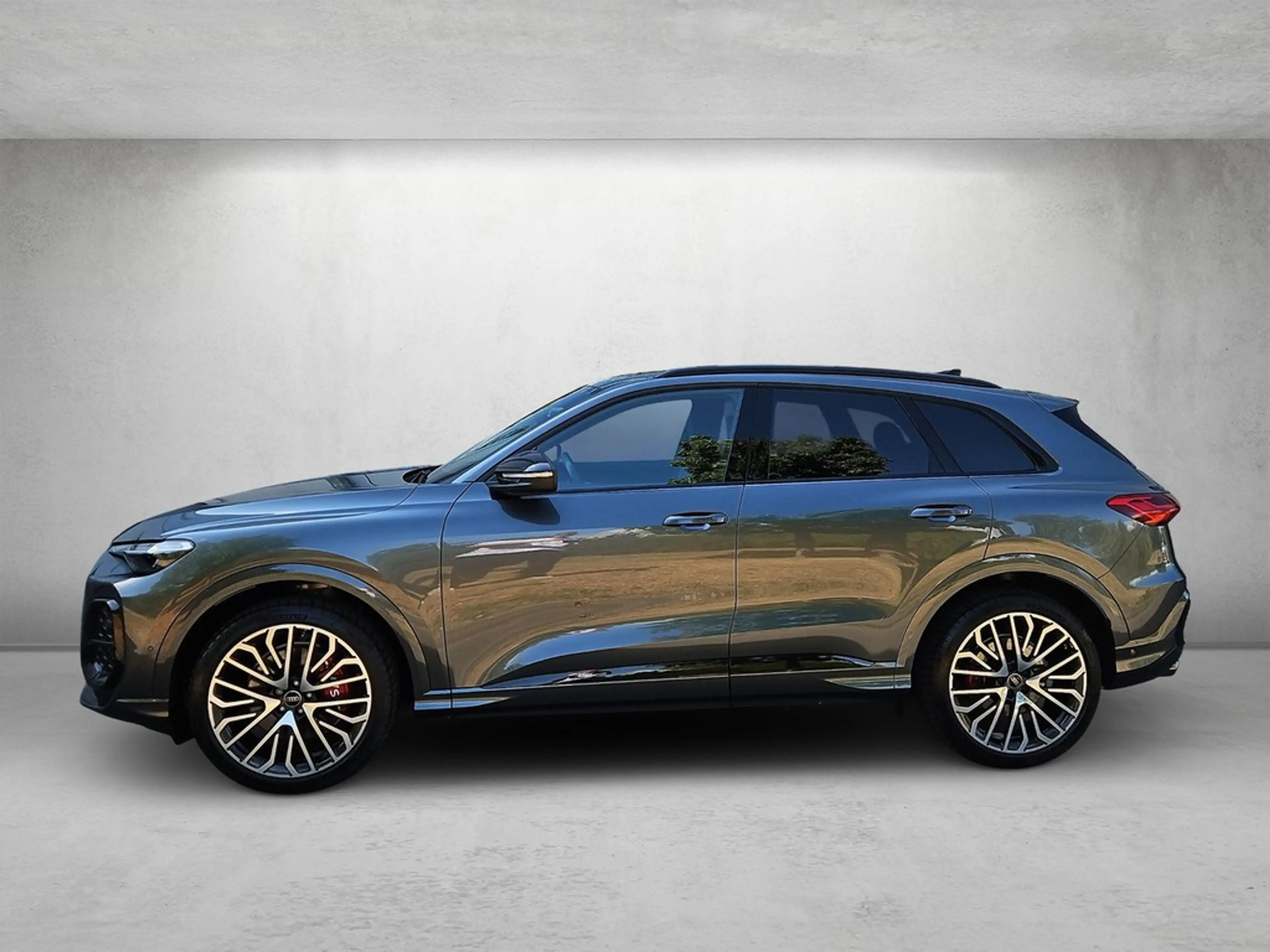 Audi SQ5 3.0 TFSI quattro S tronic *B&O*Pano*TechPro* — photo 2