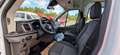 Ford Transit E-Transit 350L3 Trend- Camper, Pers./Rolli-Trans. Alb - thumbnail 8