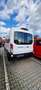 Ford Transit E-Transit 350L3 Trend- Camper, Pers./Rolli-Trans. Alb - thumbnail 5