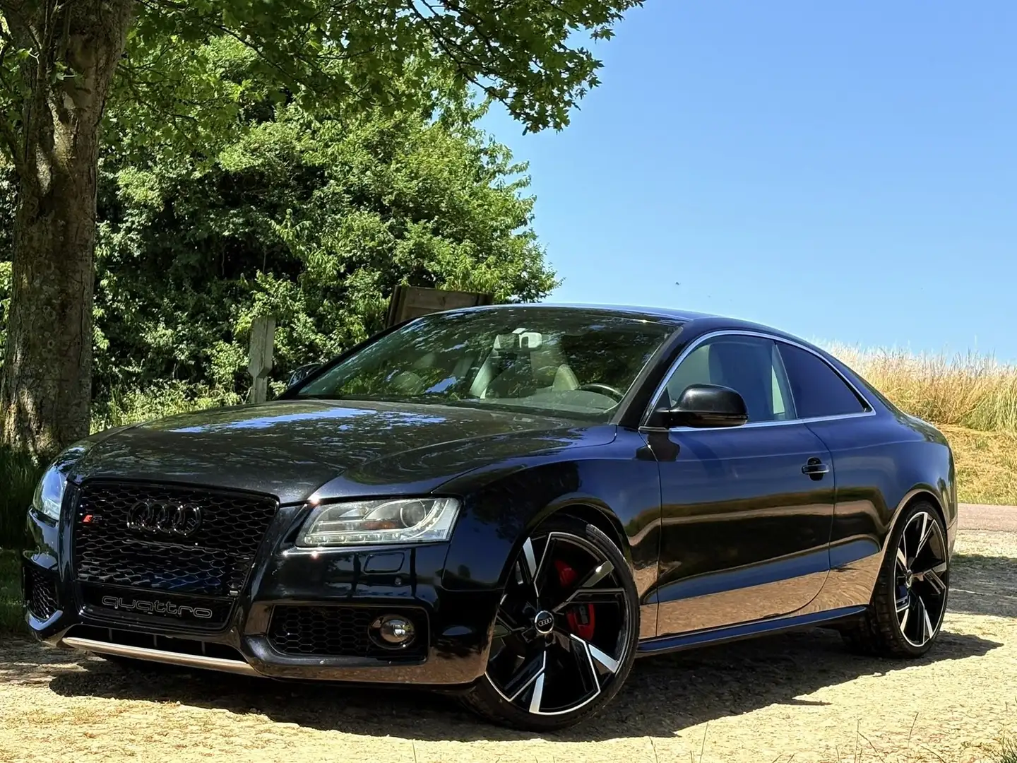 Audi S5 V8 4.2 FSi 354 Quattro - 1