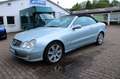 Mercedes-Benz CLK 500 V8 Cabrio Aut Leder Navi Memory SHZ H/K Plateado - thumbnail 17